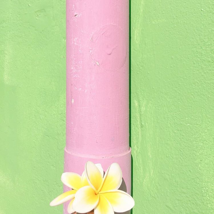 oh! you pretty things
