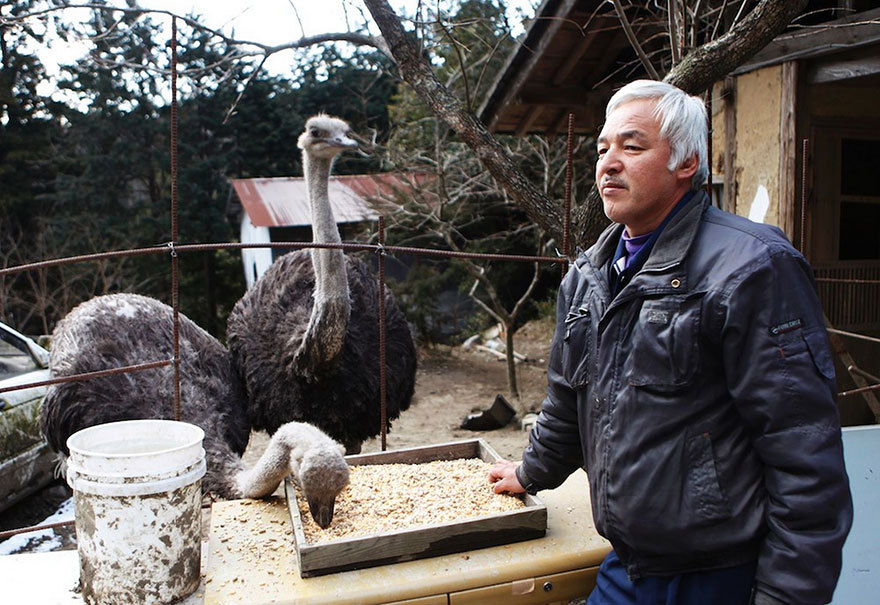 The Radioactive Man Who Returned To Fukushima To Feed The Animals That Everyone Else