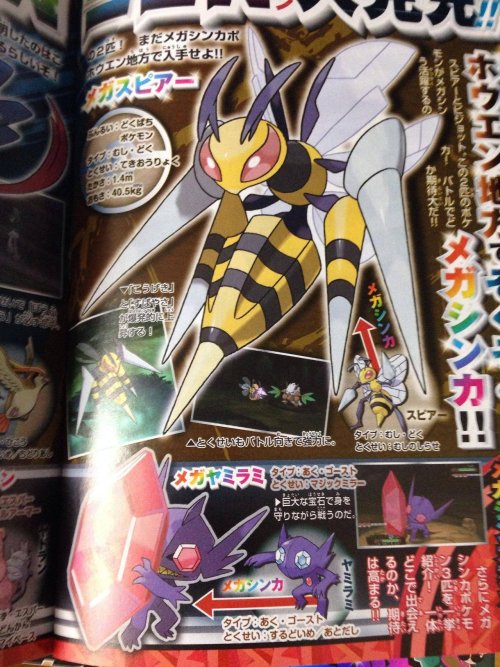 oolongearlgrey:  fantasticfakemon:  Two new Mega Evolutions revealed in Coro Coro. Mega Beedrill & Mega Pidgeot Check out the scans at Serebii.net  THE FIRST NEW MEGAS I’M ACTUALLY EXCITED FOR  