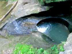 boneswithdreads:  devil’s bathtub hocking hills state park, ohio 