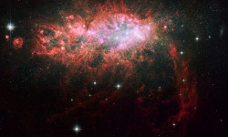 mirkokosmos:  NGC 1569 