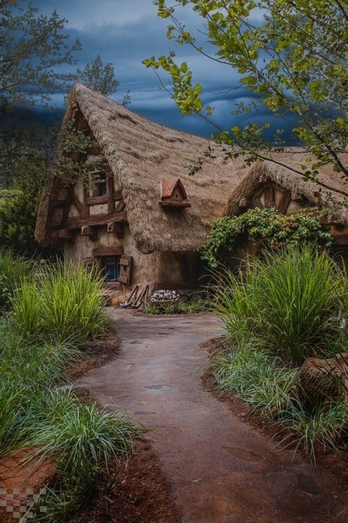 luna-intheforest:  ✨🌙 