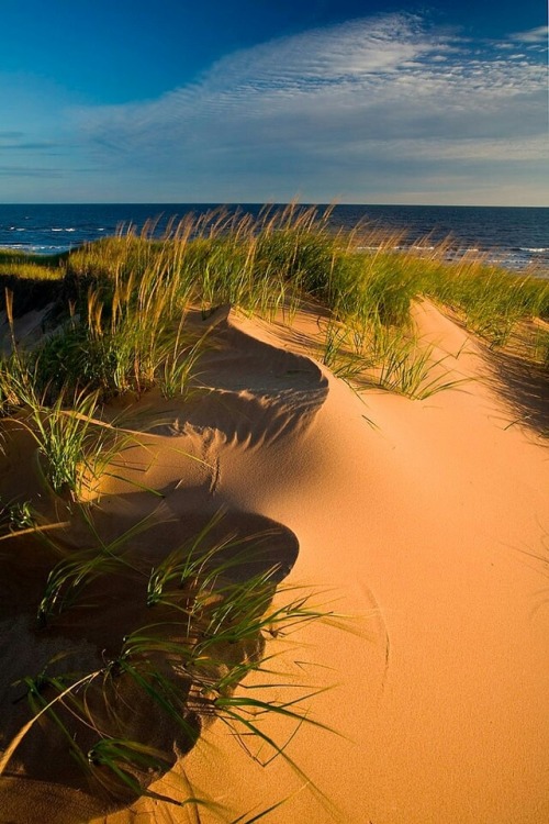 DIETRO LE DUNE IL MARE !!THEWOLF