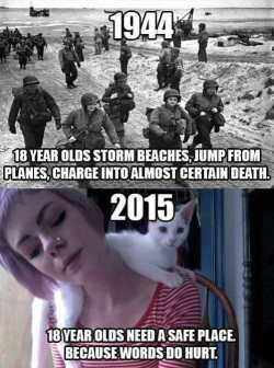 plankofwoodisamazing:  prettykikimora:  political-dissonance:  Yep, the current generation is pretty impressive…  year orf our lorde 1066: men of the age of 18 would sacrificth thy lives to serve in thee holy crusade clad in the finest heavy metals