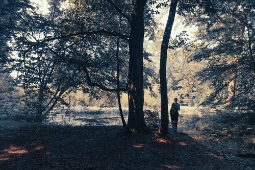 Une mare dans la forêt #normandie #lh #lehavre #pictorialism #romanticism #forest #trees #pond #natu