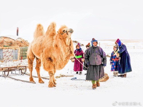 Winter life for people living in Buryat, Hulun Buir Grassland. Photo by 诺恩吉雅HL.