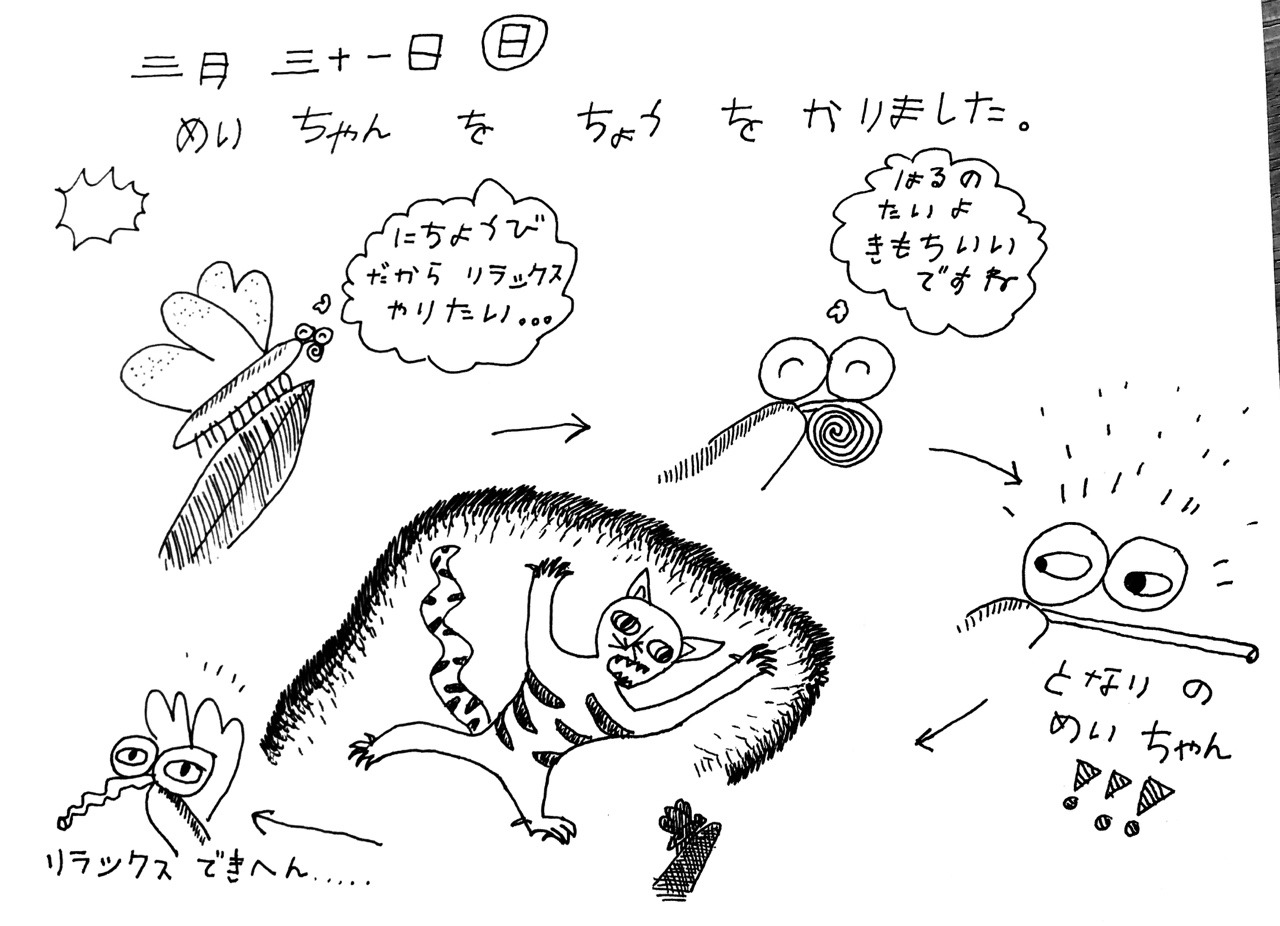 めいちゃん Explore Tumblr Posts And Blogs Tumgir めいちゃん Explore Tumblr Posts And Blogs Tumgir