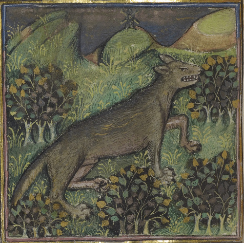 wolfGaston Phoebus, Livre de la Chasse, Brittany ca. 1430-1440LA, Getty, Ms. 27, fol. 23v
