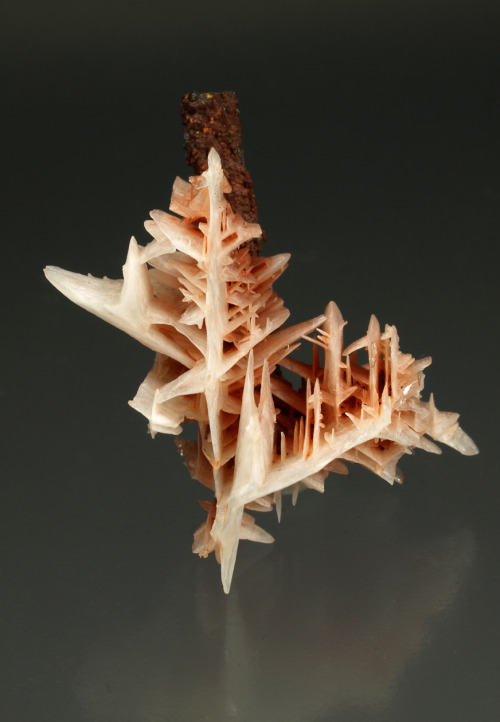 Cerussite with goethite Tharsis Mines, Tharsis, Alosno, Huelva, Andalusia, Spain