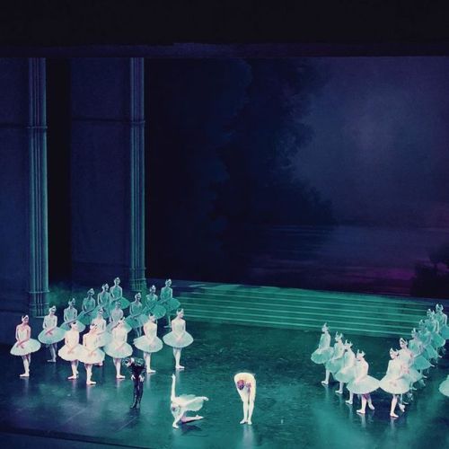 Germain Louvet made technically flawless variations in two Nureyev&rsquo;s Swan Lake at Shanghai Gra