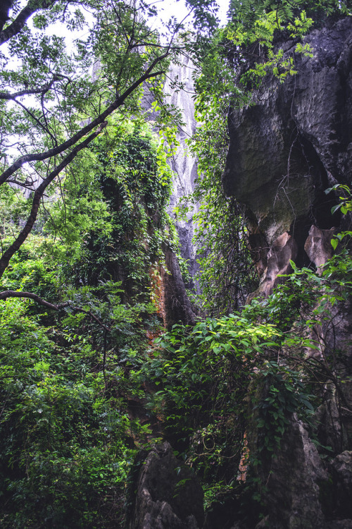frostandrime47: Stone Forest Geological park in Shilin, Yunnan province, China14.10.2018This park wa