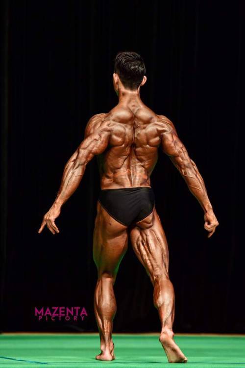 bladeyamagishi:  Shayne Ryu 