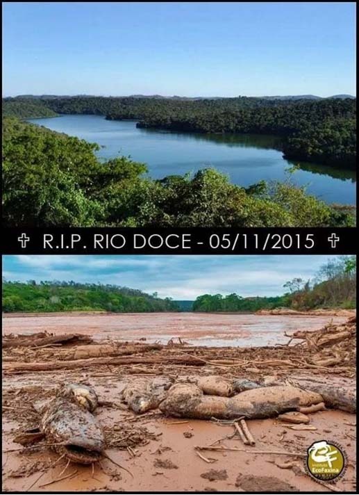 I never ask you guys for anything but BRAZIL NEEDS YOUR HELP!!