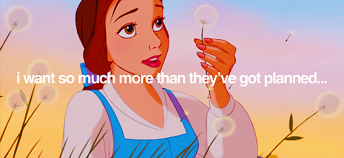 the disney princess