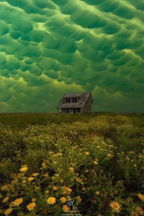 kaijuno:kaijuno:This was in Sioux Falls South Dakota! The green sky is caused by large hail stones within the storm refracting back green light to the observer.More pics from that day