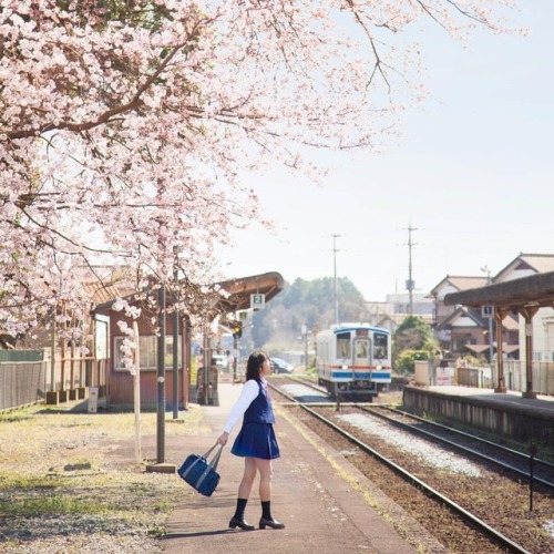 #portrait #photograph #photoshoot #japanese #japaneseview #schooluniform #girl #spring #架空荘 #kakuuso