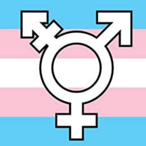 sarcasminc63:transgendertransformations:ALTIt
