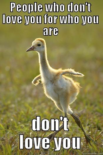 thatweirdkiddyouknow:  Supportive Sandhill Crane 