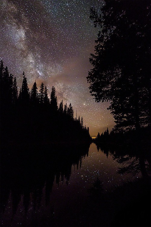 natureac:  This blog will make you feel at peace