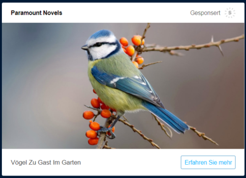 official-german-translationen: Keine Ahnung was die Werbung von mir will aber ich approve den Vogel