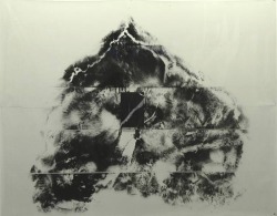 abridurif:  Giuseppe Penone, Paysage du cerveau, 1990 