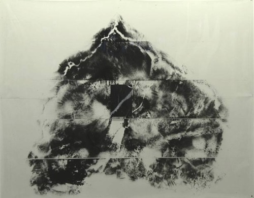 abridurif:  Giuseppe Penone, Paysage du cerveau, 1990