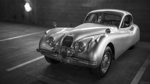 Jaguar XK120 on Flickr.