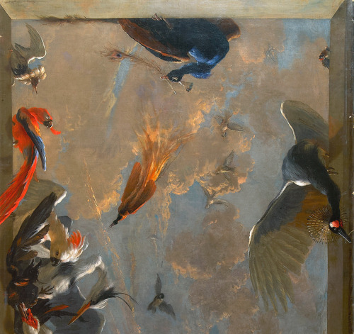 srednod:Ceiling Piece with Birds - Abraham Busschop 1708