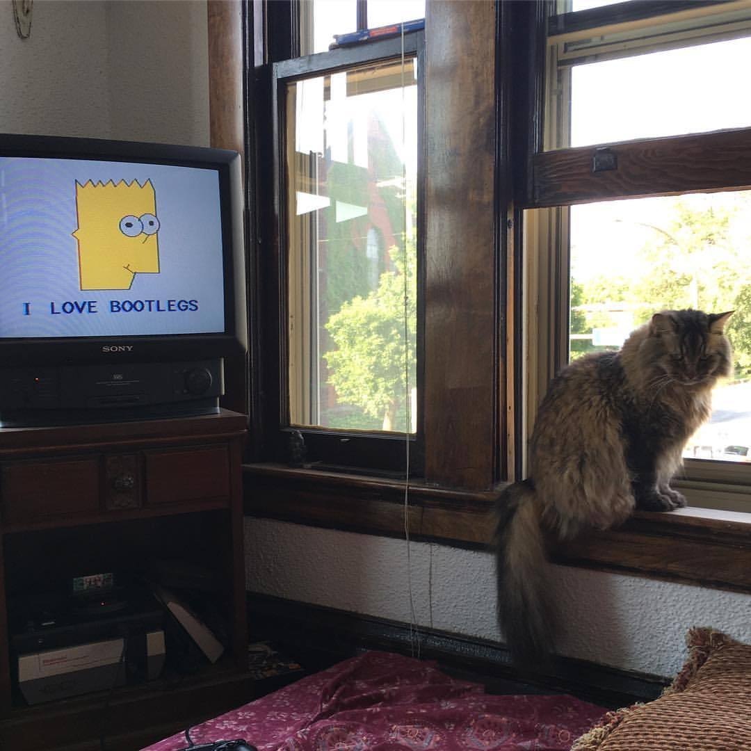 (Ʋ ͡° ᴥ ͡°)