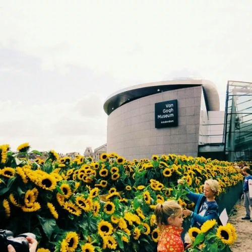 mostlymoodymads:weekdaywicked:Van Gogh museum in Amsterdam, surrounded by 125k sunflowers. You&rsquo