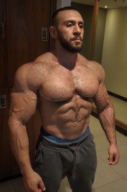 manpex:  http://manpex.tumblr.com/Home of MAJOR pectoralis majors