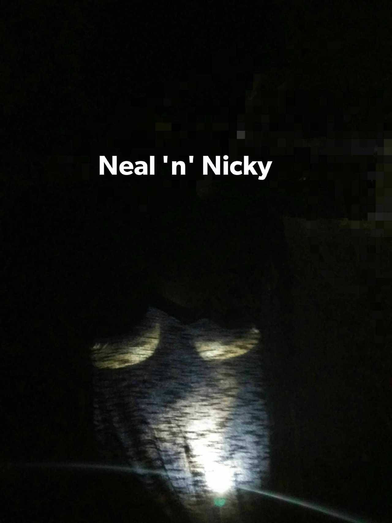 nealnnicky:  nealnnicky:  Nicky exposing in public park. We have our own fantasies