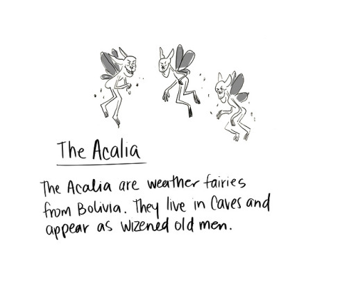 Coming to the end! Heres a short one! The Acalia!