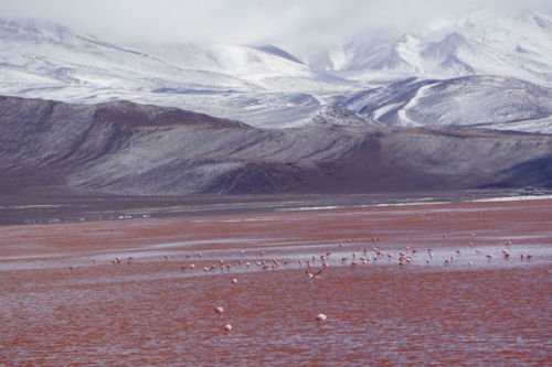 Laguna Colorada (Bolivia) was&hellip;FREEZING! However, it was one of the most beautiful places 