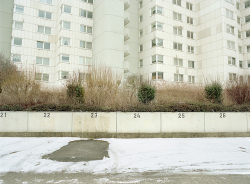 untrustyou:Marek Wykowski 