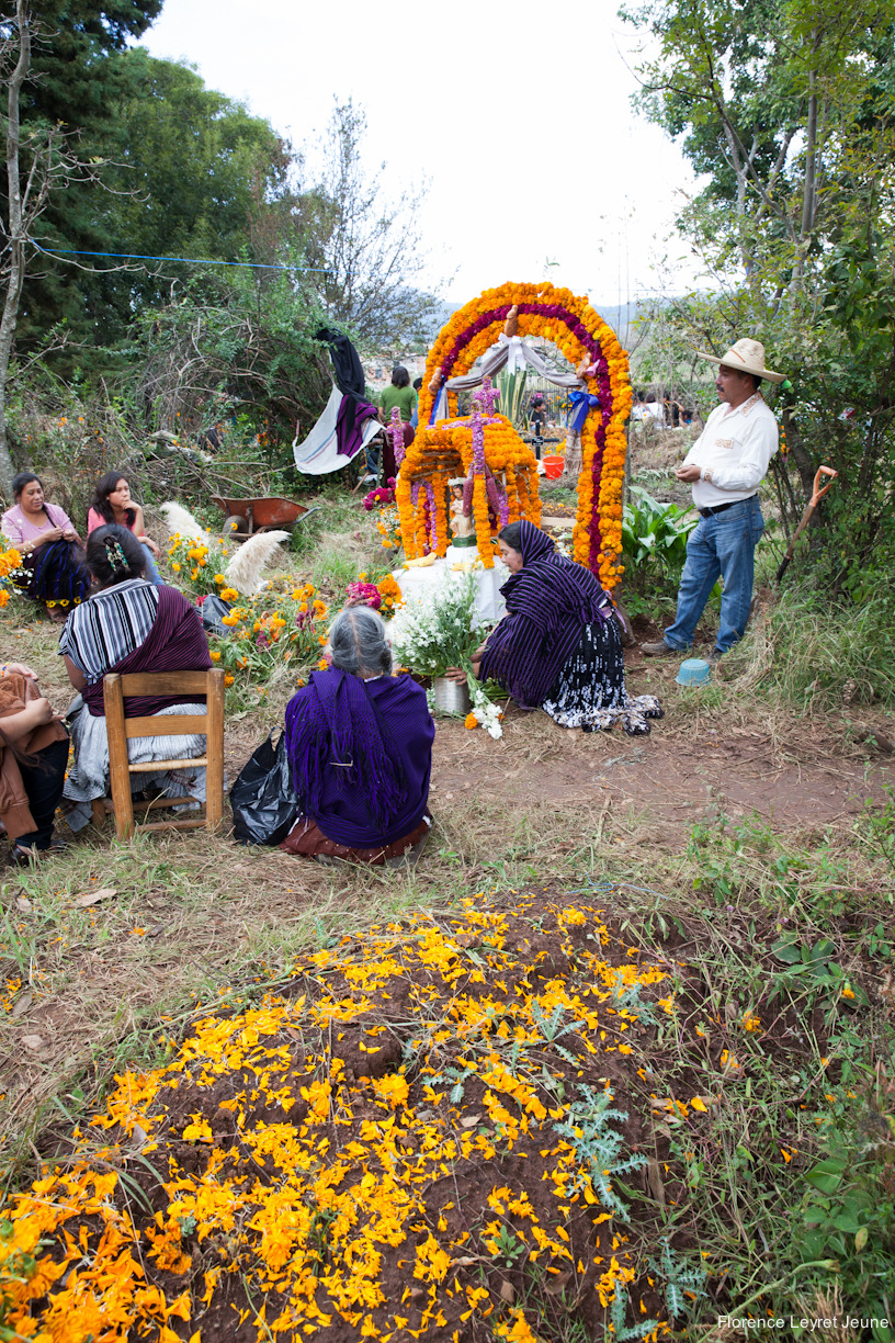 didyouseethewind:  On the 2nd of November, the altars are dismantled, then (almost)