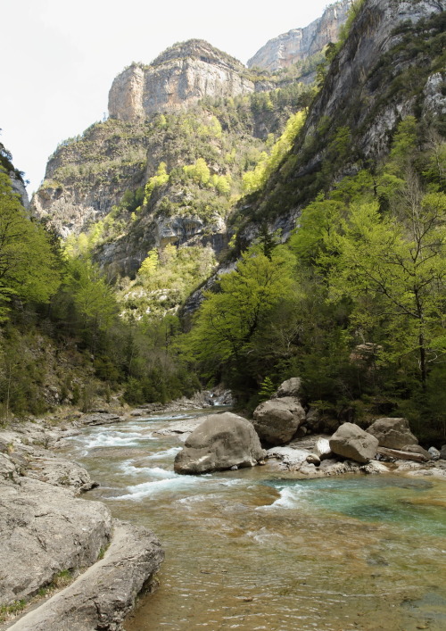 2013: Such a great day - Cañon de Añisclo - where outcrops of folded and thrusted Eocene quartzite, 