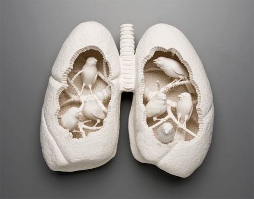 art-tension:    					Memento Mori – Amazing ceramics by  The Famous Artist Kate MacDowell   A selection of beautiful ceramic creations by American artist Kate MacDowell,  who seeks to elucidate the mysteries of our humanity through beautiful  porcelain