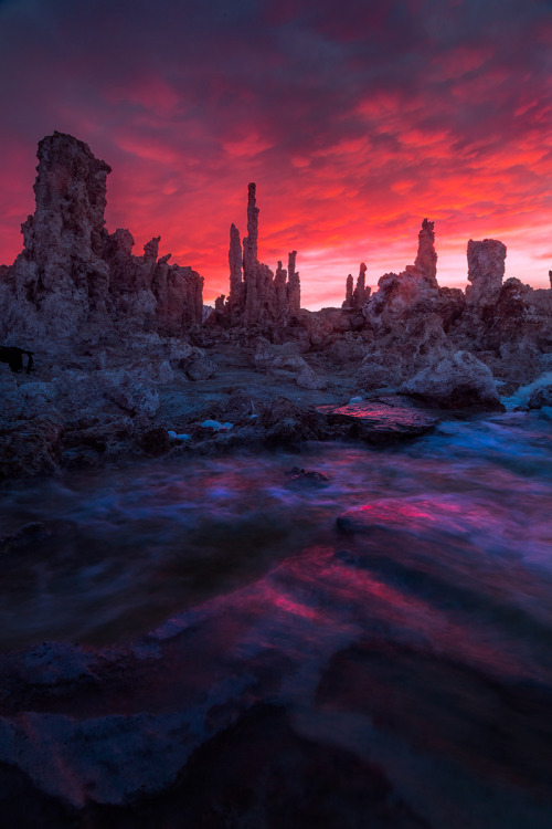 banshy:  Mono Lake Sunset | Mike Hitchner   