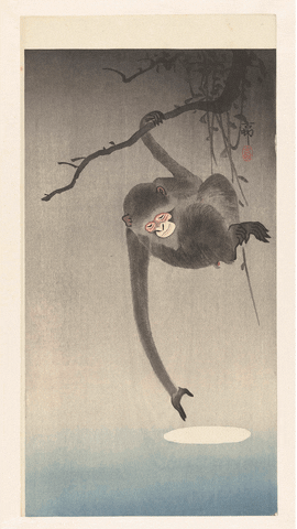 Ohara Koson, Monkey and Reflection of the Moon / Aap en weerspiegeling van de maan, ca. 1900-1936.
GIFed by Olivia Hadtke.