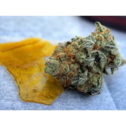 letssmokeloud:  Always dank weedporn by macromob420! Visit LetsSmokeLoud.com for dank weed pics!