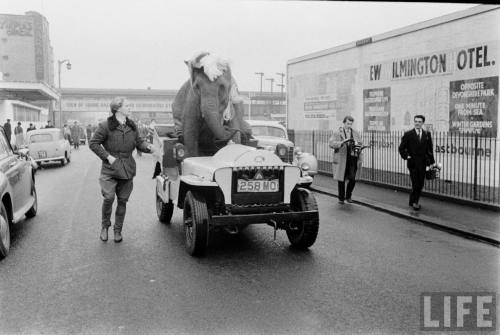 “Ready to try to parallel park?”(Carl Mydans. n.d.)