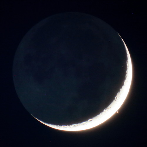 astronomyblog: Aldebaran few moments after the end of the occultation by a crescent Moon (7.7% illum