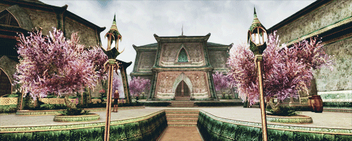 shrimpnest:MournholdCity of Light, City of Magic