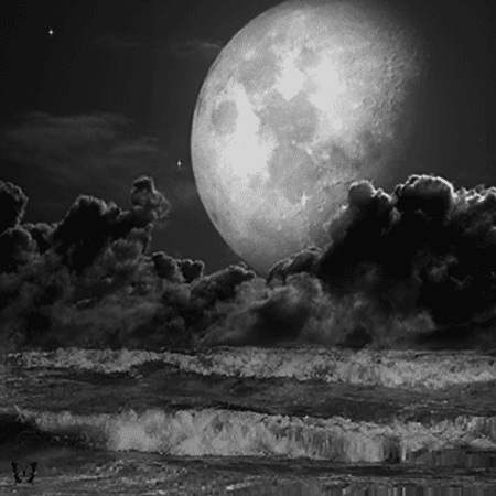justbeingnamaste:  Full Moon Blessings ~ Namaste~ 