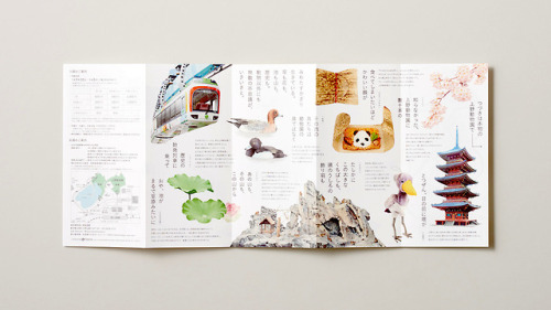 Vibrant concertina brochure by Misawa Design Institute