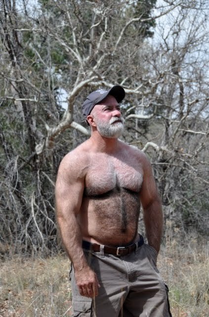 bearmanx: Silver sexy daddy Grizzly bear