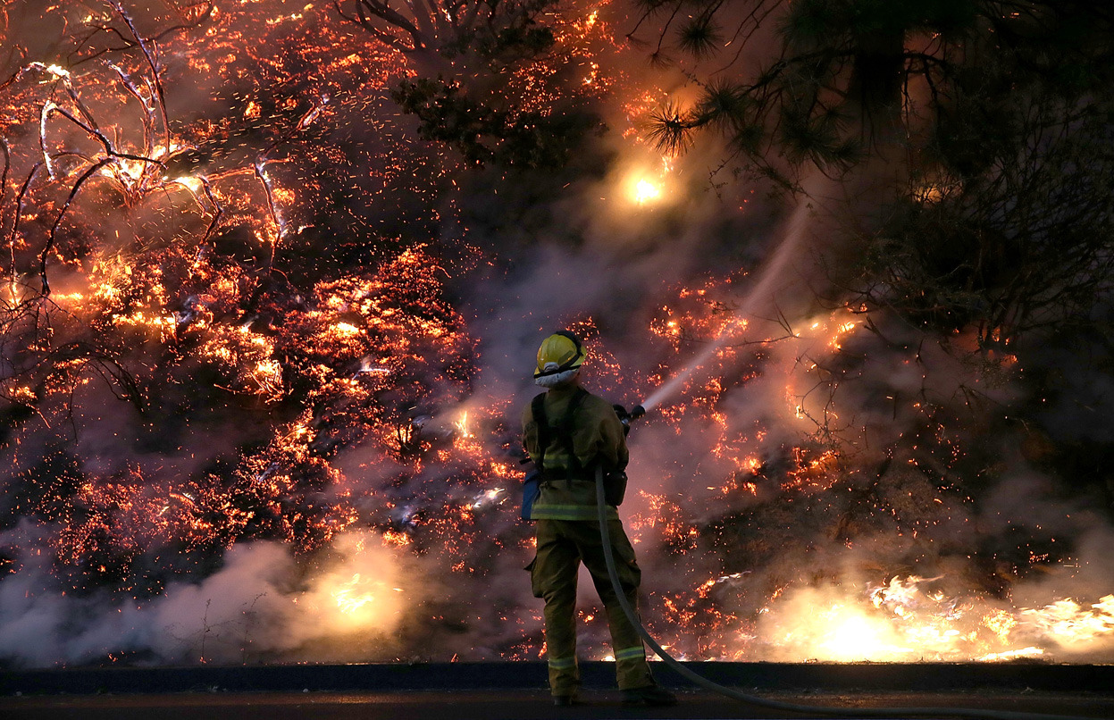 From Yosemite Wildfire, one of 34 photos. A firefighter uses a hose to douse flames of the Rim Fire on a hillside, on August 24, 2013 near Groveland, California. The Rim Fire continues to burn out of control and threatens 4,500 homes outside of...