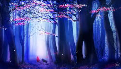 planetmiracles:  little red riding hood.