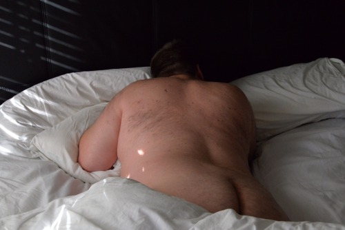 gbear285:  alexunderbear:  I wish that was my bed  I wish that were my bear!